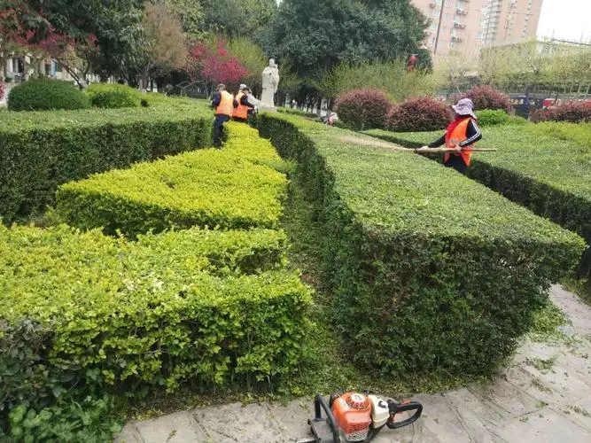 黄浦区景观绿化工程团队