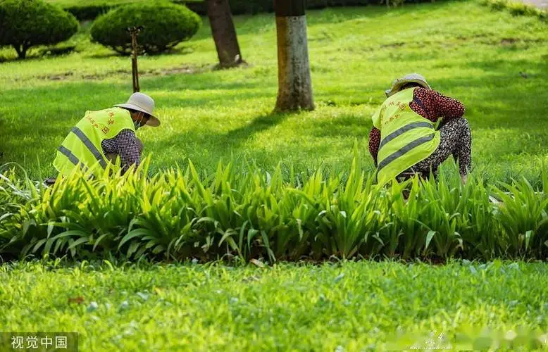 绿化工程种植土壤配比表